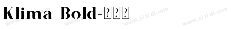 Klima Bold字体转换